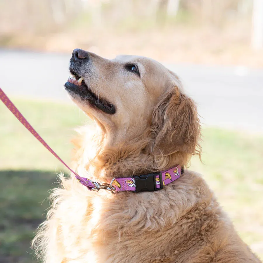 Sport Leash | Bananarama
