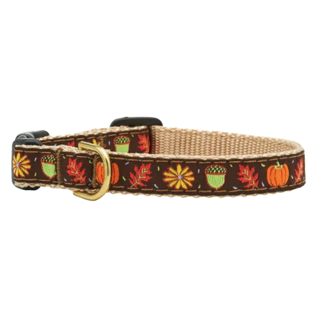 Teacup Collar | Harvest Time