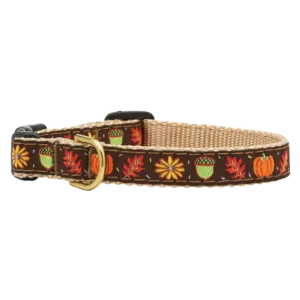 Teacup Collar | Harvest Time