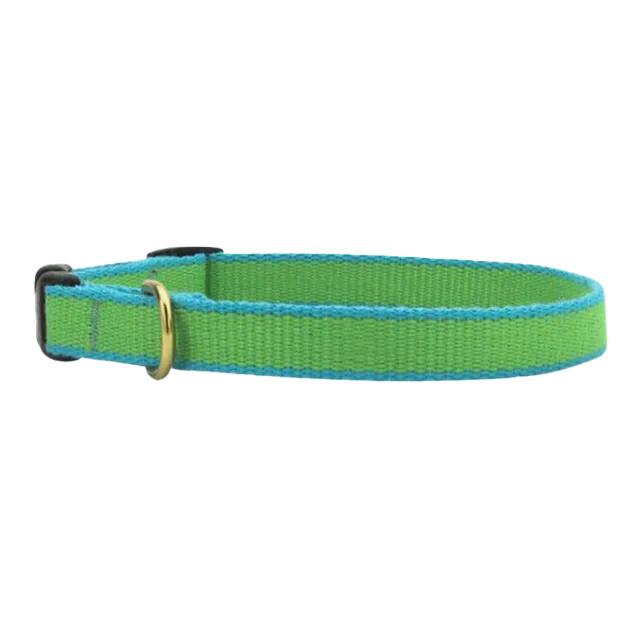 Teacup Collar | Lime & Aqua