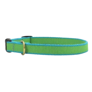 Teacup Collar | Lime & Aqua