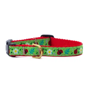 Teacup Collar | Lovely Ladybugs