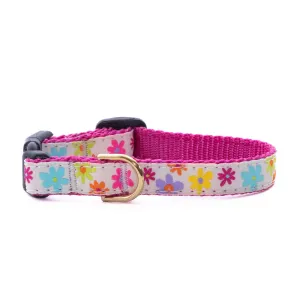 Teacup Collar | Spring Fever
