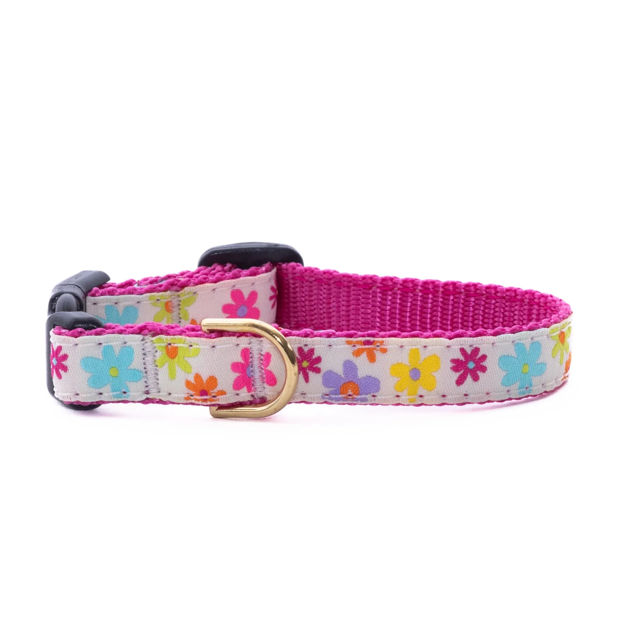 Teacup Collar | Spring Fever